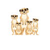 Tiere Erdmännchen Erdmännchene Geschenk