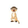 Tiere Erdmännchen Erdmännchene Geschenk
