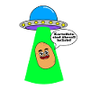 Ufo entführt Kartoffel
