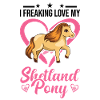 Shetland Pony Gift Shetty