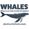 Whales - Conspiracy Theory