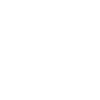 fighter