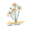 Make summer Not winter