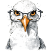 Mina the spectacled seagull