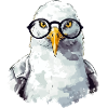 Miki the seagull with glasses