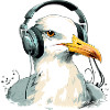 Limi the audiophile seagull