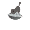 Handpan Cat Player Handpan