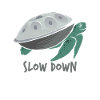 Jouer Handpan Turtle Handpan