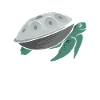 Jouer Handpan Turtle Handpan