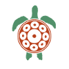 Play Handpan Turtle Handpan