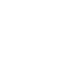 Mystic Elephant