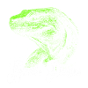 Komodo dragon design