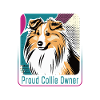 Fier propriétaire de Collie