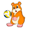 Hamster Volley-ball