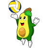 Avocat Volley-ball