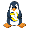 Volleyball pingouin