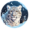 Snowy Leopard