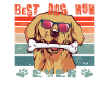 Dog Golden Retriever Dog Owner