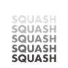 Sport Squash