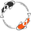 Poisson Koi