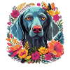 Weimaraner Dog Gift