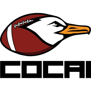 LOGO COCAI NERO