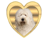 Bobtail - Dog Lover - Dog Heart