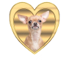 Chihuahua - Dog Lover - Dog Heart