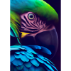 Buntes Vogelgesicht