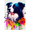 Bunter Border Collie