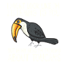 Toucan Bird Rainforest