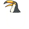 Toucan Bird Rainforest