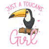 Toucan Bird Rainforest