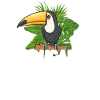 Toucan Bird Rainforest