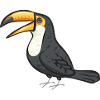 Toucan Bird Rainforest