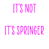 Springer spaniel glitter