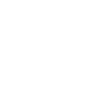 Springer spaniel glitter citation