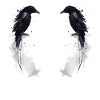 Raben Hugin & Munin - Odin's Ravens