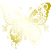Papillon Mandala or