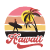 Hawaii Surf Beach Design