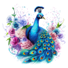 Påfågel Blommor Påfågel Fjäder Exotisk Färgglad Färgglad