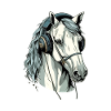 Hapo le cheval audiophile