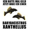 Fish Baryancistrus Xanthellus Fisher Geschenk