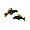 Fish Baryancistrus Xanthellus Fisher Geschenk