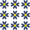 FLOWER. FLOWER. NATURE. ECOLOGY. ANNIVERSARY
