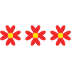 FLOWER. FLOWER. NATURE. ECOLOGY. ANNIVERSARY