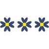 FLOWER. FLOWER. NATURE. ECOLOGY. ANNIVERSARY