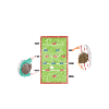 Board Game Geek Dice Player