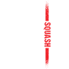 Sport Us Flag Squash