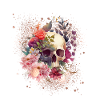 Shards